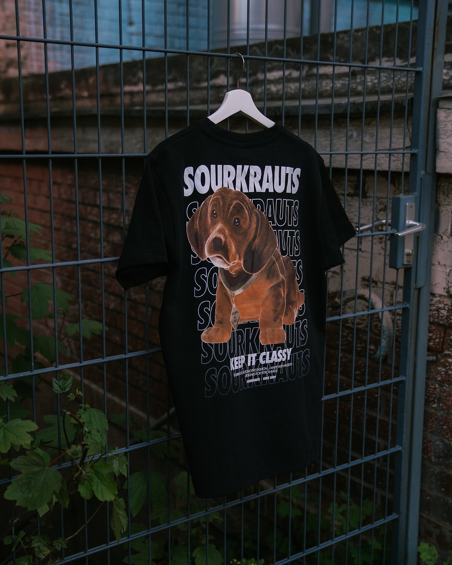 T-Shirt | Dachshund | Black